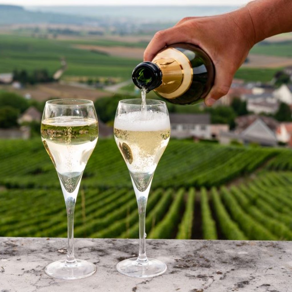 french wine champagne tasting in Champagne region